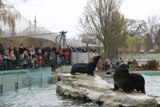 Поездка 2014б в Рим и Вену > Венский зоопарк