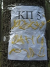 Весенний слет 2009 > КП 5 — длинное, желтое, как хочу, так и называю