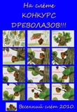 Весенний слет ФТШ 2010 > Конкурс древолазов