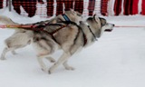 Выезд ЦОДа