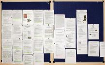 Объявления о спецкурсах, сентябрь 2011